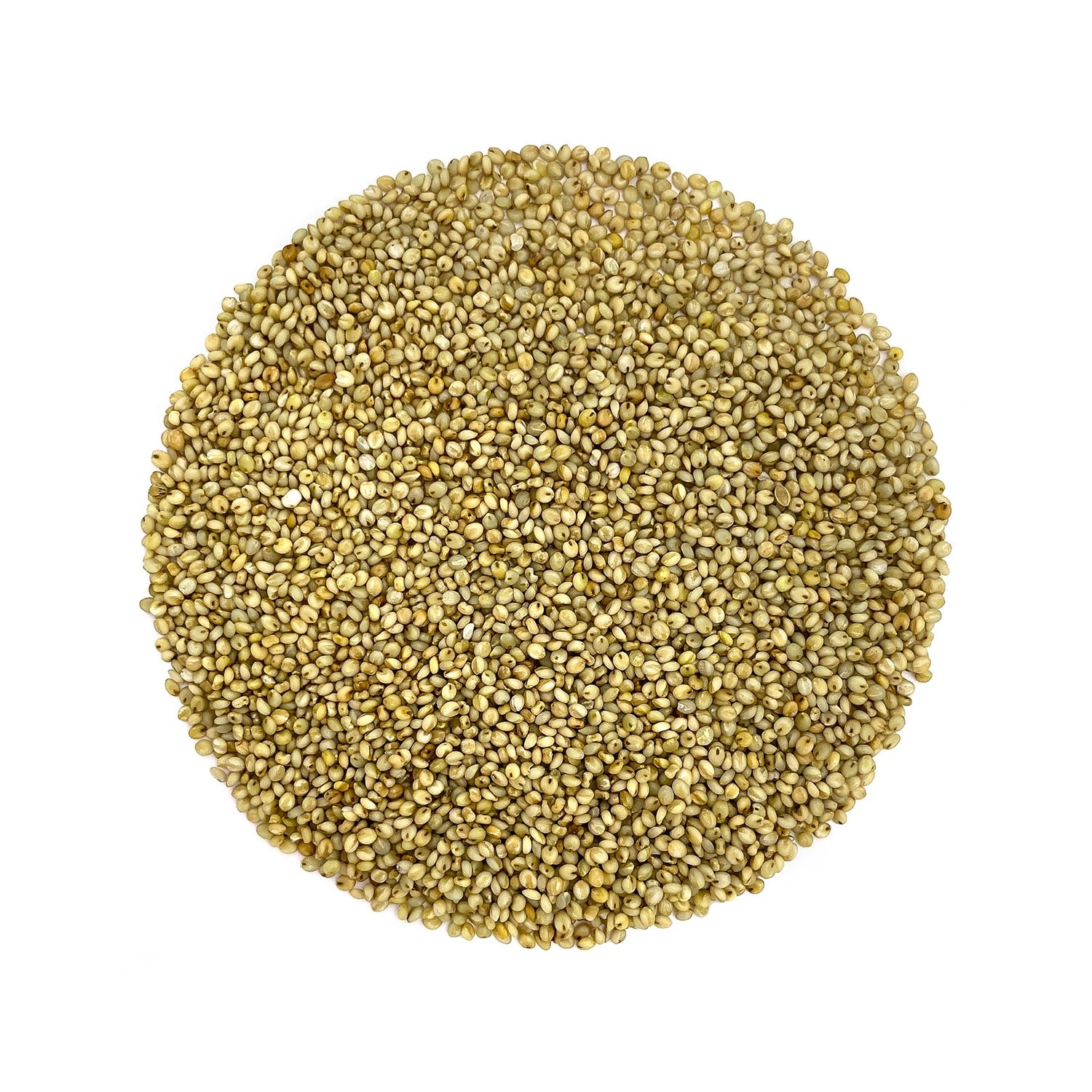 Browntop Millet 800g - Organic, Gluten-Free, Unpolished