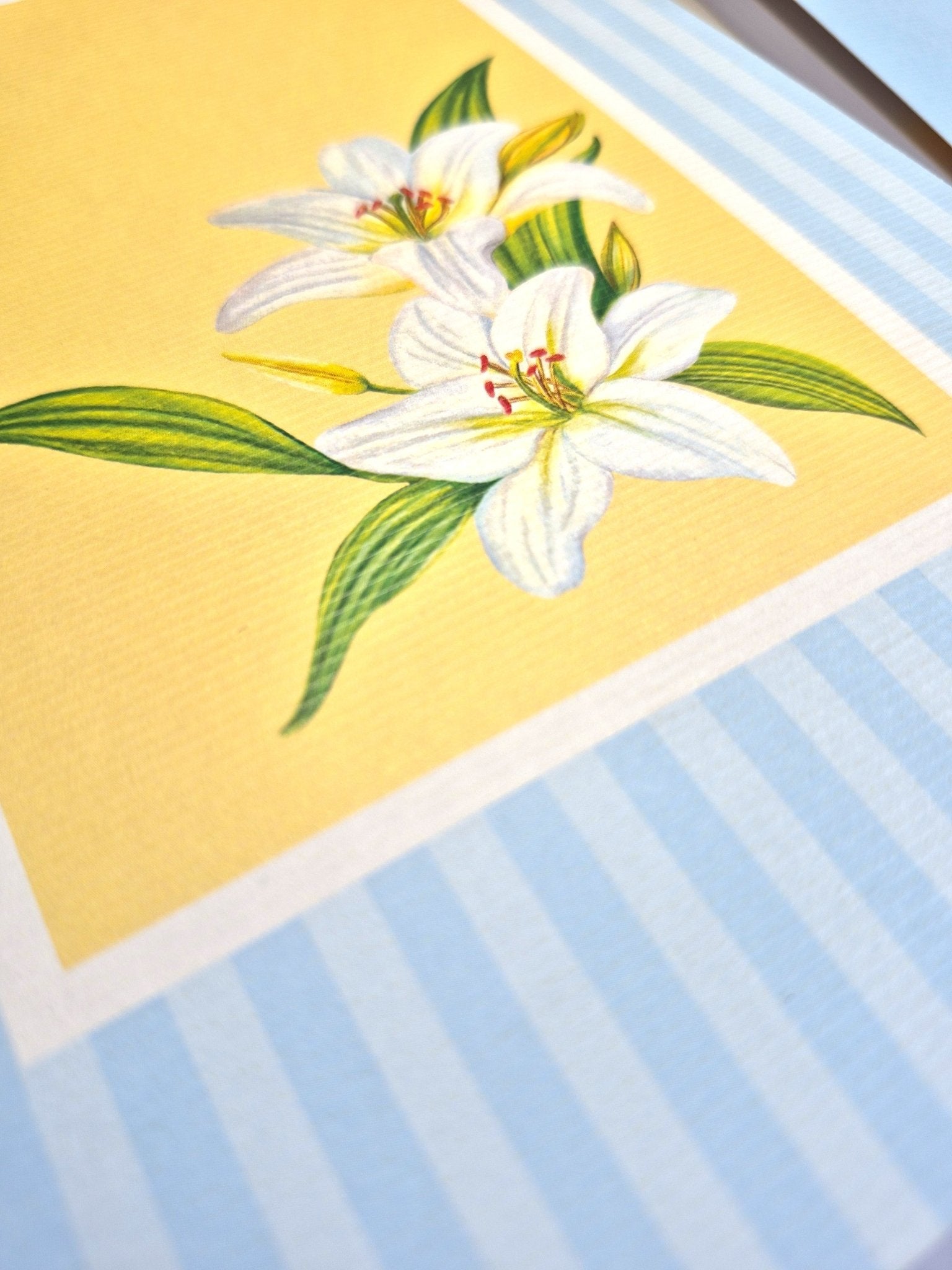 A5 Blank Notebook 100 Pages 100 GSM Paper | Lily Design – Notebooks & Notepads on Brown Living™. SKU: A5NB01A. Img 2.