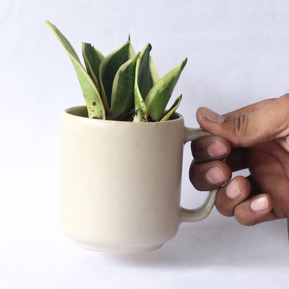 Abha Recycled Ceramic Desk Planter with Holder | Verified Sustainable by Brown Living™