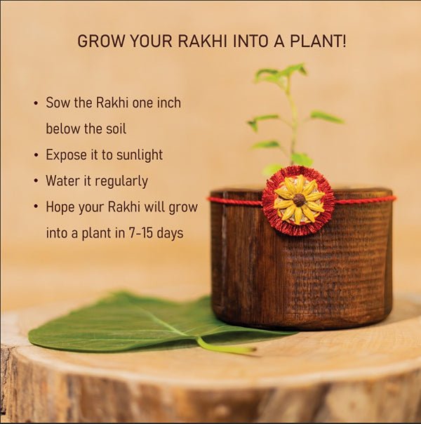 Akkad - Bakkad Rakhi Gift Box | Set of 2 Plantable Rakhi , Bamboo Speaker & Planting Material | Verified Sustainable Rakhi on Brown Living™