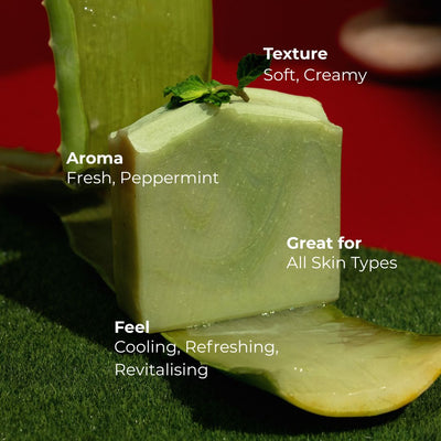 Aloe Vera Cucumber Peppermint Handcrafted Cold Processed Soap – Body Soap on Brown Living™. SKU: ACP1003X. Img 4.