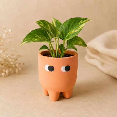 Amber Muse Face Planter Set of 2 | Orange Decorative Planters – Ceramic Planter on Brown Living™. SKU: D-474. Img 3.