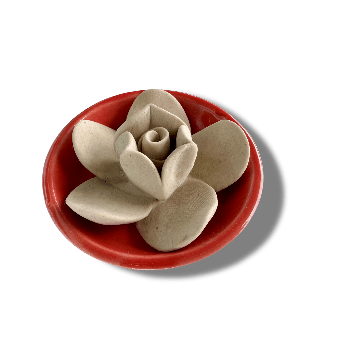 AMRA Diffuser Oil – Uplifting Natural Fragrance for Calm Spaces – Fragrance Diffusers on Brown Living™. SKU: FLO-NAM-001-CER. Img 4.