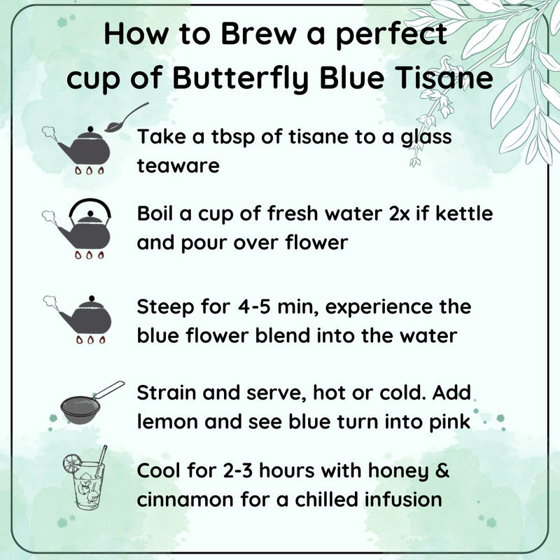 Anti - Ageing Thai Butterfly Blue Tisane - A Magical and Colorful Drink | Verified Sustainable by Brown Living™