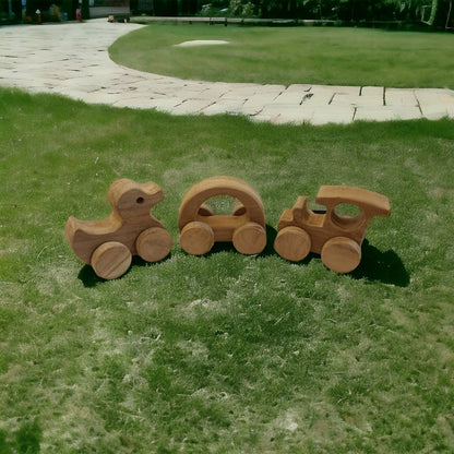 Anti - Bacterial & Healthy Push & Pull Toys – Duck, Train & Hollow Car – Toy Trains & Vehicles on Brown Living™. SKU: W_TRN-DK-HCR. Img 3.