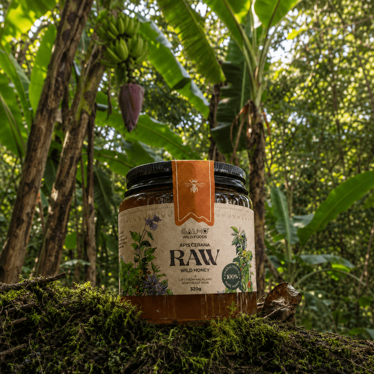 Apis Cerana Wild Banana Honey | Raw Natural Honey – Honey & Syrups on Brown Living™. SKU: CWB320g_. Img 5.