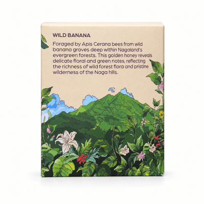 Apis Cerana Wild Banana Honey | Raw Natural Honey – Honey & Syrups on Brown Living™. SKU: CWB320g_. Img 4.