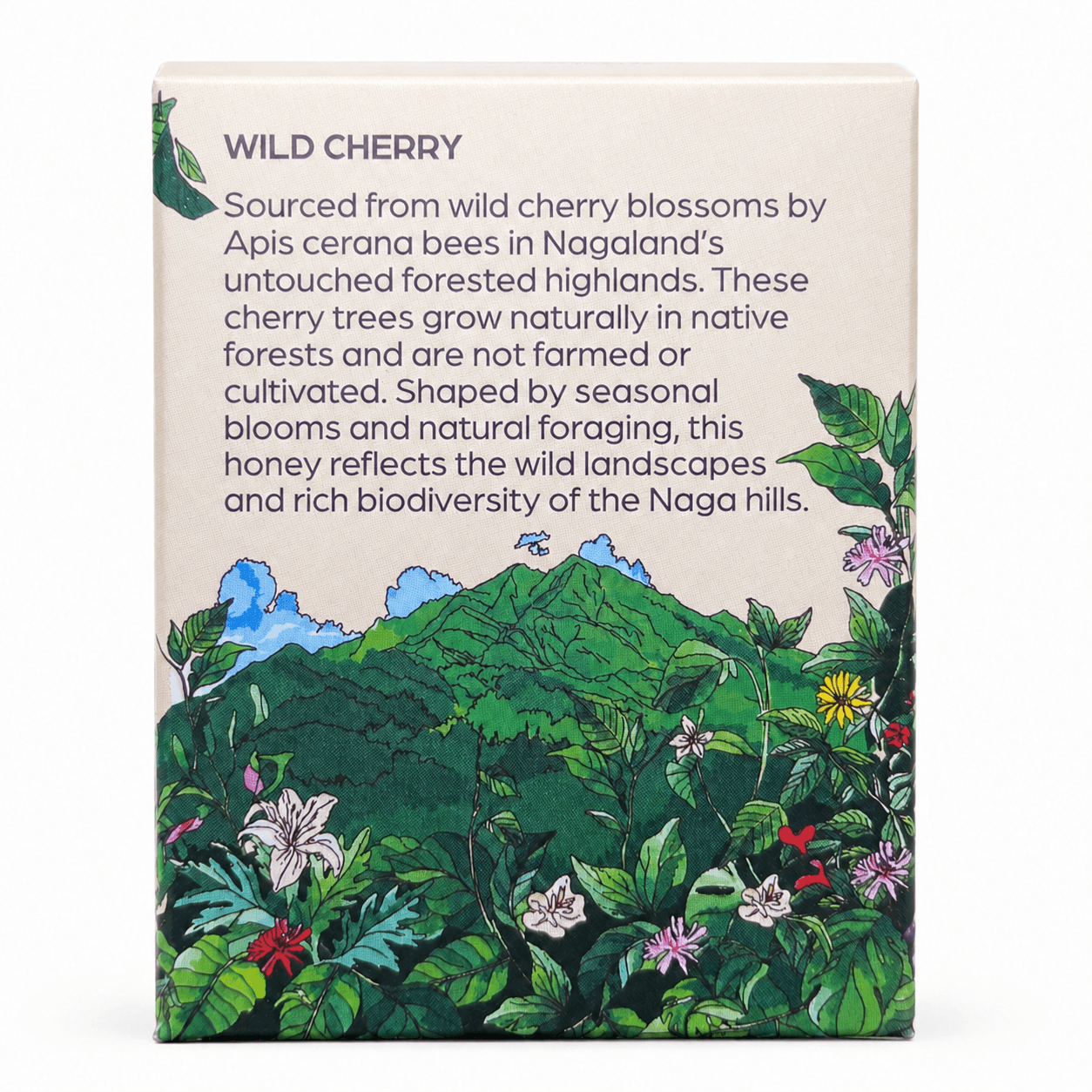 Apis Cerana Wild Cherry Honey | Raw Natural Honey – Honey & Syrups on Brown Living™. SKU: GWLH-120G. Img 5.