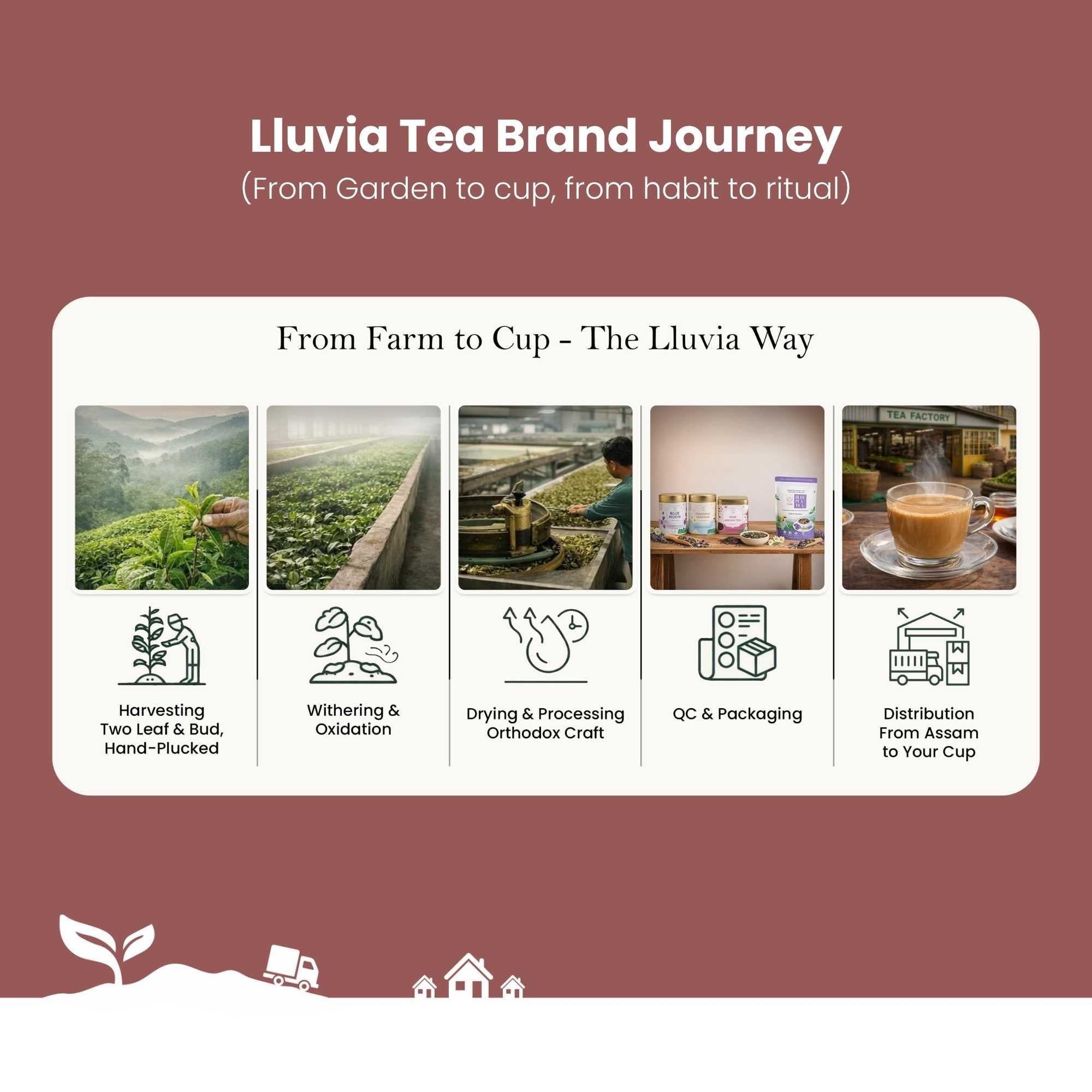 Assam Classic Orthodox Tea – Bold Single-Estate Black Tea – 50g – Tea on Brown Living™. SKU: EGTin50New. Img 8.