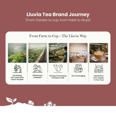Assam Classic Orthodox Tea – Bold Single-Estate Black Tea – 50g – Tea on Brown Living™. SKU: EGTin50New. Img 8.