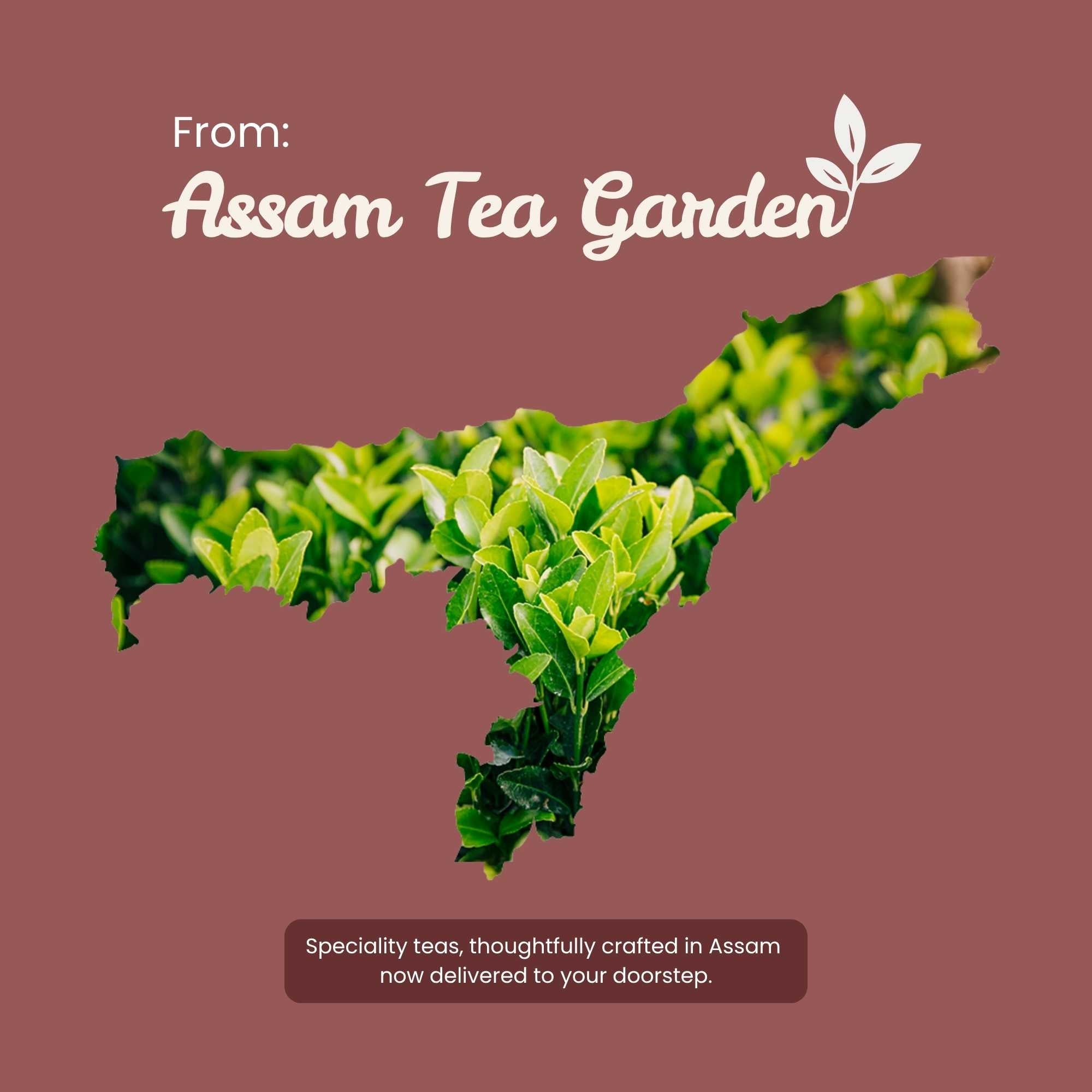 Assam Classic Orthodox Tea – Bold Single-Estate Black Tea – 50g – Tea on Brown Living™. SKU: EGTin50New. Img 9.