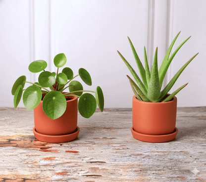 Autumn Planter Small 4 Inch | Handcrafted Decorative Pot – Pots & Planters on Brown Living™. SKU: PL1-2A. Img 1.