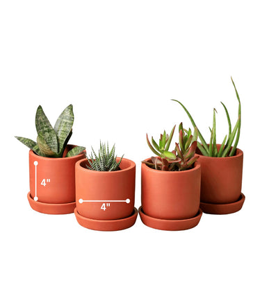 Autumn Planter Small 4 Inch | Handcrafted Decorative Pot – Pots & Planters on Brown Living™. SKU: PL1-4. Img 16.