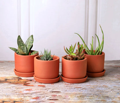 Autumn Planter Small 4 Inch | Handcrafted Decorative Pot – Pots & Planters on Brown Living™. SKU: PL1-6. Img 15.