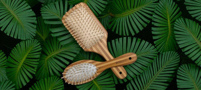 Bamboo Hair Brush – strengthen hair | blood circulation| massage scalp – Hair Brush on Brown Living™. SKU: OEHB1a. Img 5.