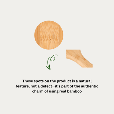 Bamboo Hair Brush with Bamboo Bristles – Hair Brush on Brown Living™. SKU: BA/HA/P1. Img 5.