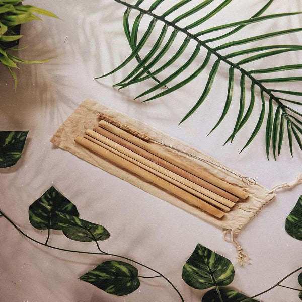 Bamboo Reusable Straws with Cleaner - Pack of 2