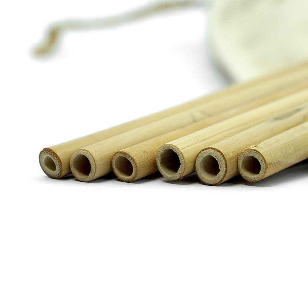 Bamboo Straws - Set of 6 - Eco - friendly / Washable / Reusable | Verified Sustainable by Brown Living™