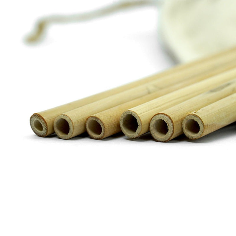 Bamboo Straws - Set of 6 - Eco-friendly / Washable / Reusable | Verified Sustainable Drinking Straws & Stirrers on Brown Living™