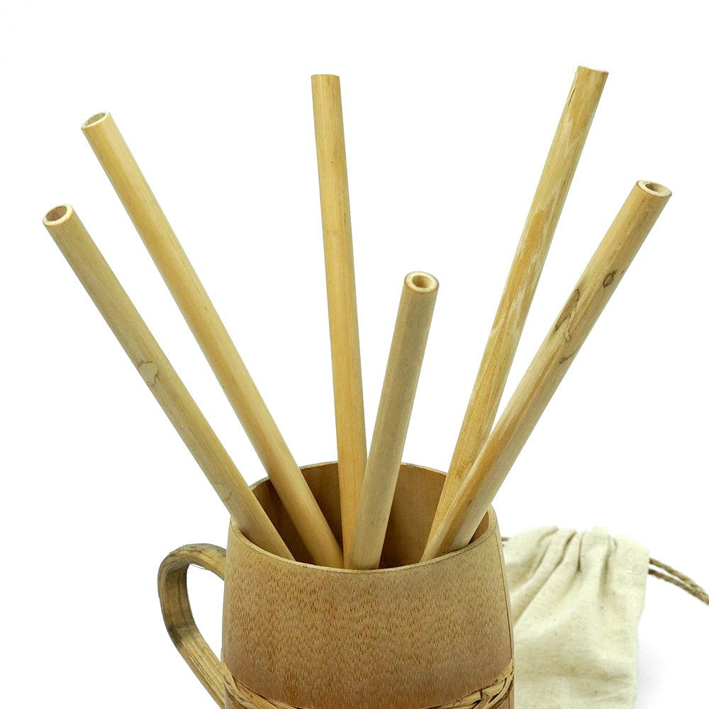 Bamboo Straws - Set of 6 - Eco - friendly / Washable / Reusable | Verified Sustainable by Brown Living™