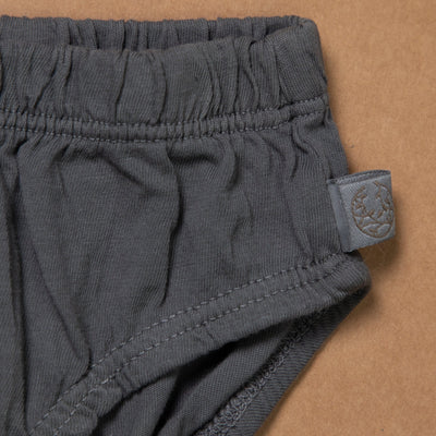 Boys Briefs - Organic - Plant Dyed - Toxin Free - Anti - Microbial - Pack of 3 – Kids Inner Wear on Brown Living™. SKU: BVB009IGYMG10. Img 23.