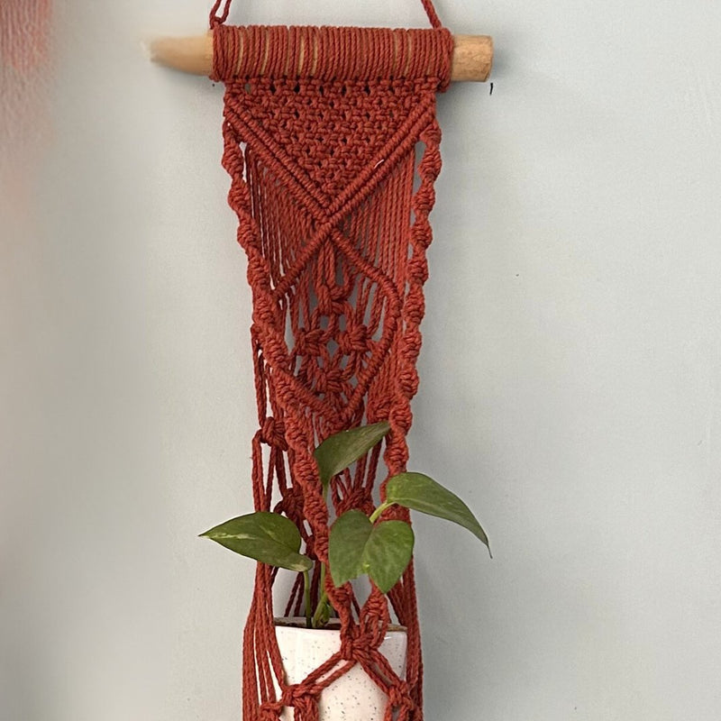 Brown Macrame Plant Holder - Set of 2 | Verified Sustainable Pots & Planters on Brown Living™