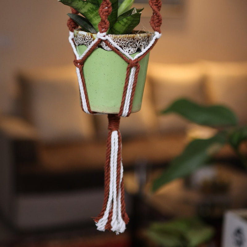 Brown Web Macrame Plant Holder | Verified Sustainable Pots & Planters on Brown Living™