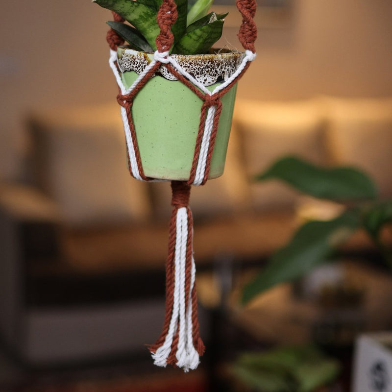 Brown Web Macrame Plant Holder | Verified Sustainable by Brown Living™