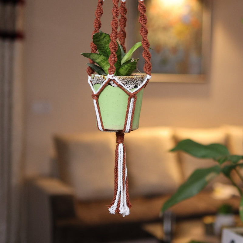 Brown Web Macrame Plant Holder | Verified Sustainable Pots & Planters on Brown Living™