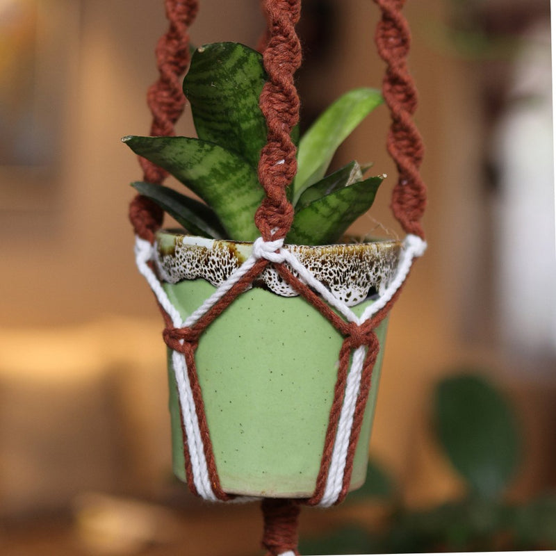 Brown Web Macrame Plant Holder | Verified Sustainable by Brown Living™