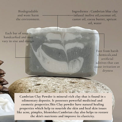 Cambrian Blue Clay Soap Cloud Fern – Deep Cleansing Natural Bar – Soap on Brown Living™. SKU: LN-CBS-01. Img 4.
