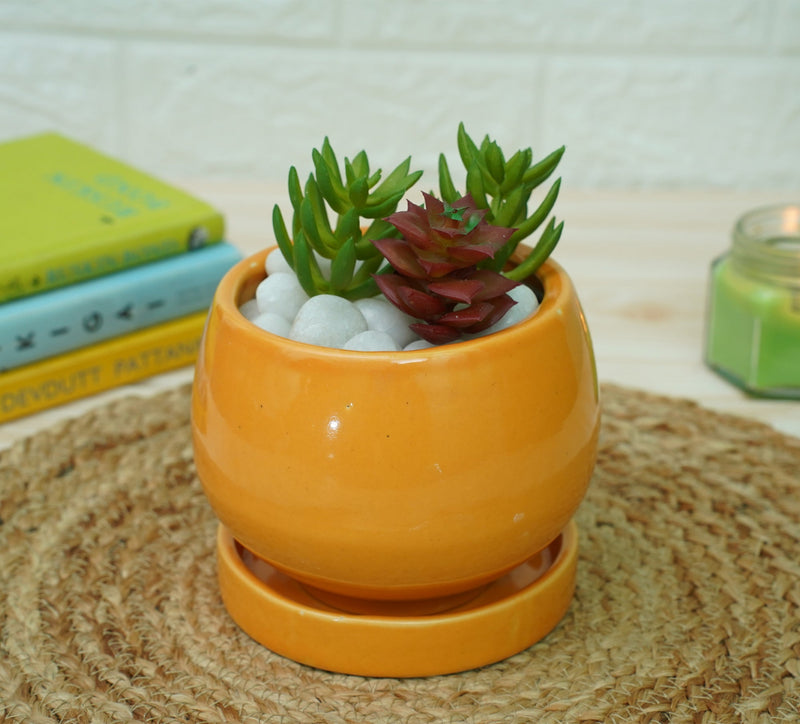 Ceramic Pots For Indoor Plants (Orange) | Verified Sustainable Pots & Planters on Brown Living™