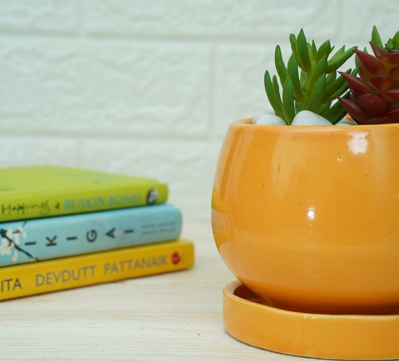 Ceramic Pots For Indoor Plants (Orange) | Verified Sustainable Pots & Planters on Brown Living™
