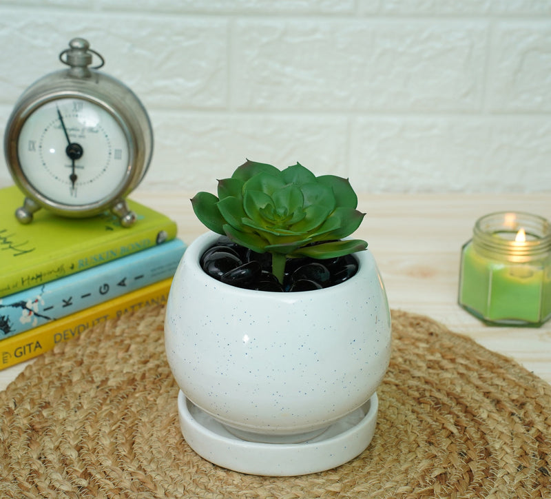 Ceramic Pots For Indoor Plants (White) | Verified Sustainable Pots & Planters on Brown Living™