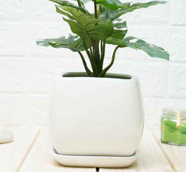 Ceramic Pots For Indoor Plants - White Hanoi | Verified Sustainable Pots & Planters on Brown Living™
