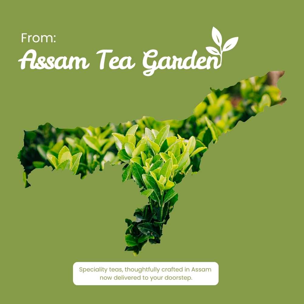 Ceremonial Grade Matcha – Premium Quality & Rich Flavour – 50g – Tea on Brown Living™. SKU: ACBZip50New. Img 9.