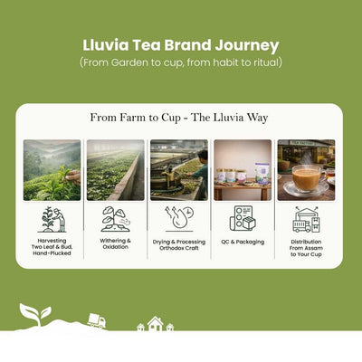 Ceremonial Grade Matcha – Premium Quality & Rich Flavour – 50g – Tea on Brown Living™. SKU: ACBZip50New. Img 7.