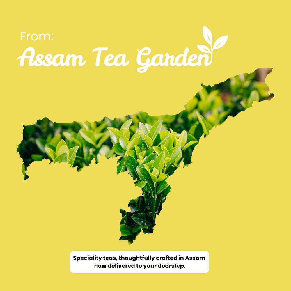 Chamomile Charisma Tea – Helps with Sleep & Relaxation – 50g – Tea on Brown Living™. SKU: LGTin50New. Img 10.