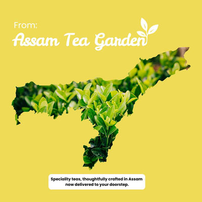 Chamomile Charisma Tea – Helps with Sleep & Relaxation – 50g – Tea on Brown Living™. SKU: LGTin50New. Img 10.