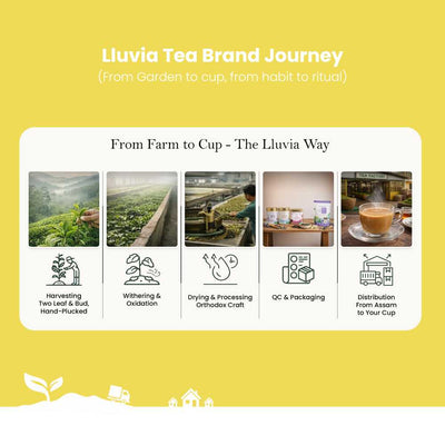 Chamomile Charisma Tea – Helps with Sleep & Relaxation – 50g – Tea on Brown Living™. SKU: LGTin50New. Img 7.