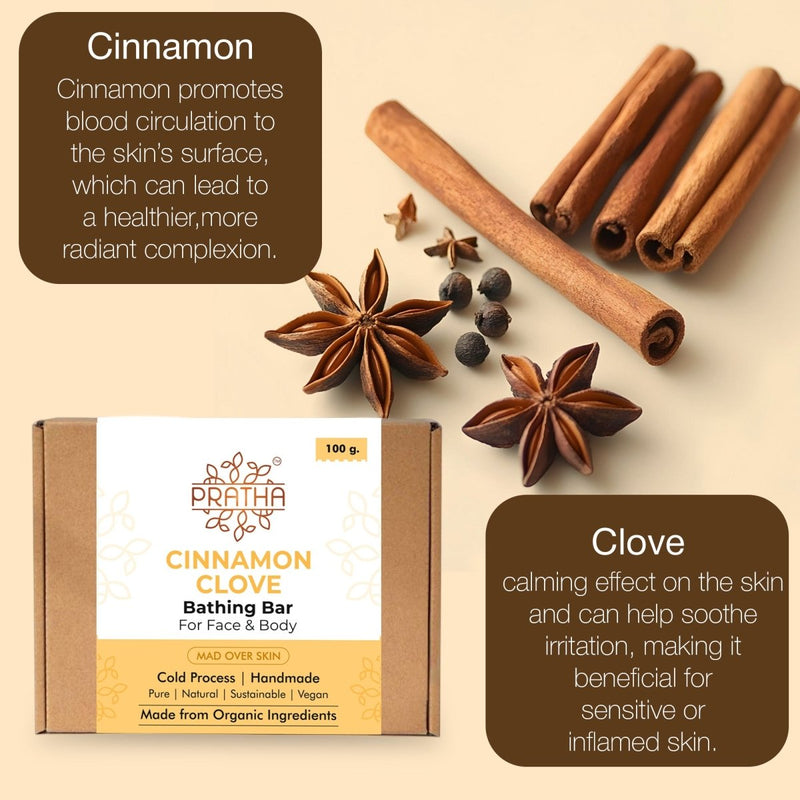 Cinnamon & Clove Soap | Cold Process Handmade Soap | Verified Sustainable by Brown Living™