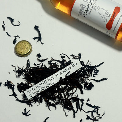 Classic Kombucha 250ml | Pure Probiotic Fermented Tea – Health & Energy Drinks on Brown Living™. SKU: KBKCL. Img 5.