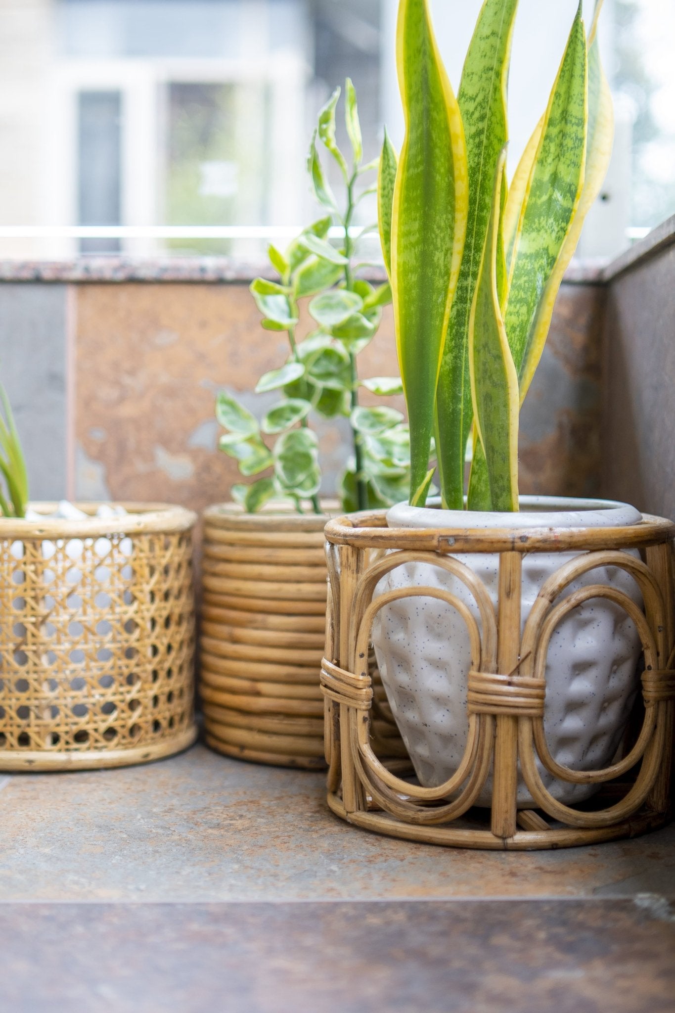 Classic Rattan Planter Pot – Handmade & Decorative – Pots & Planters by AJAARA available on Brown Living™. . SKU: SYMPP003. Img 3.