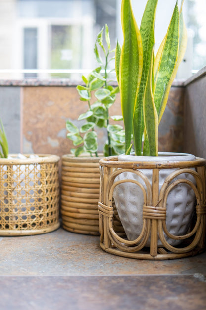 Classic Rattan Planter Pot – Handmade & Decorative – Pots & Planters by AJAARA available on Brown Living™. . SKU: SYMPP003. Img 3.