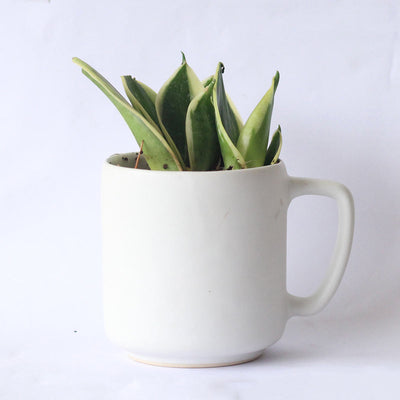 Cloud Recycled Ceramic Planter with holder – Pots & Planters on Brown Living™. SKU: ET - CT - DP - VW. Img 2.