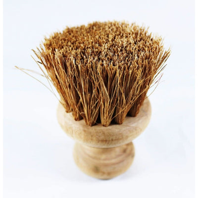 Coconut Coir - Cleaning Brushes – Cleaning Products on Brown Living™. SKU: OEP075. Img 6.