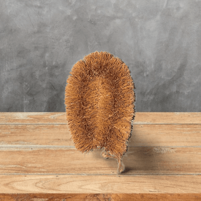 Coconut Coir - Cleaning Brushes – Cleaning Products on Brown Living™. SKU: OEP078b. Img 8.