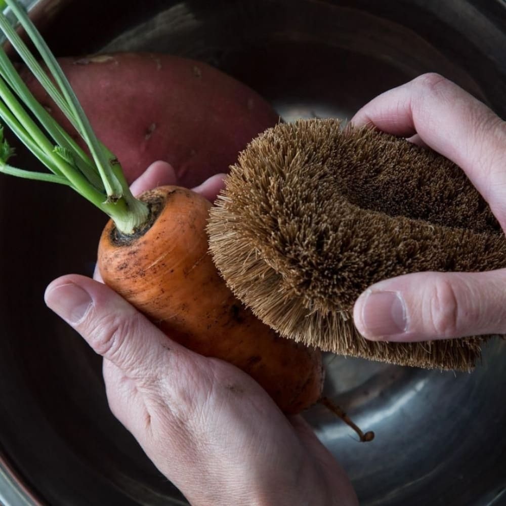 Coconut Coir - Cleaning Brushes – Cleaning Products by ONEarth available on Brown Living™. Tawashi Vegetable (Pack Of 2) . SKU: OEP078a. Img 7.