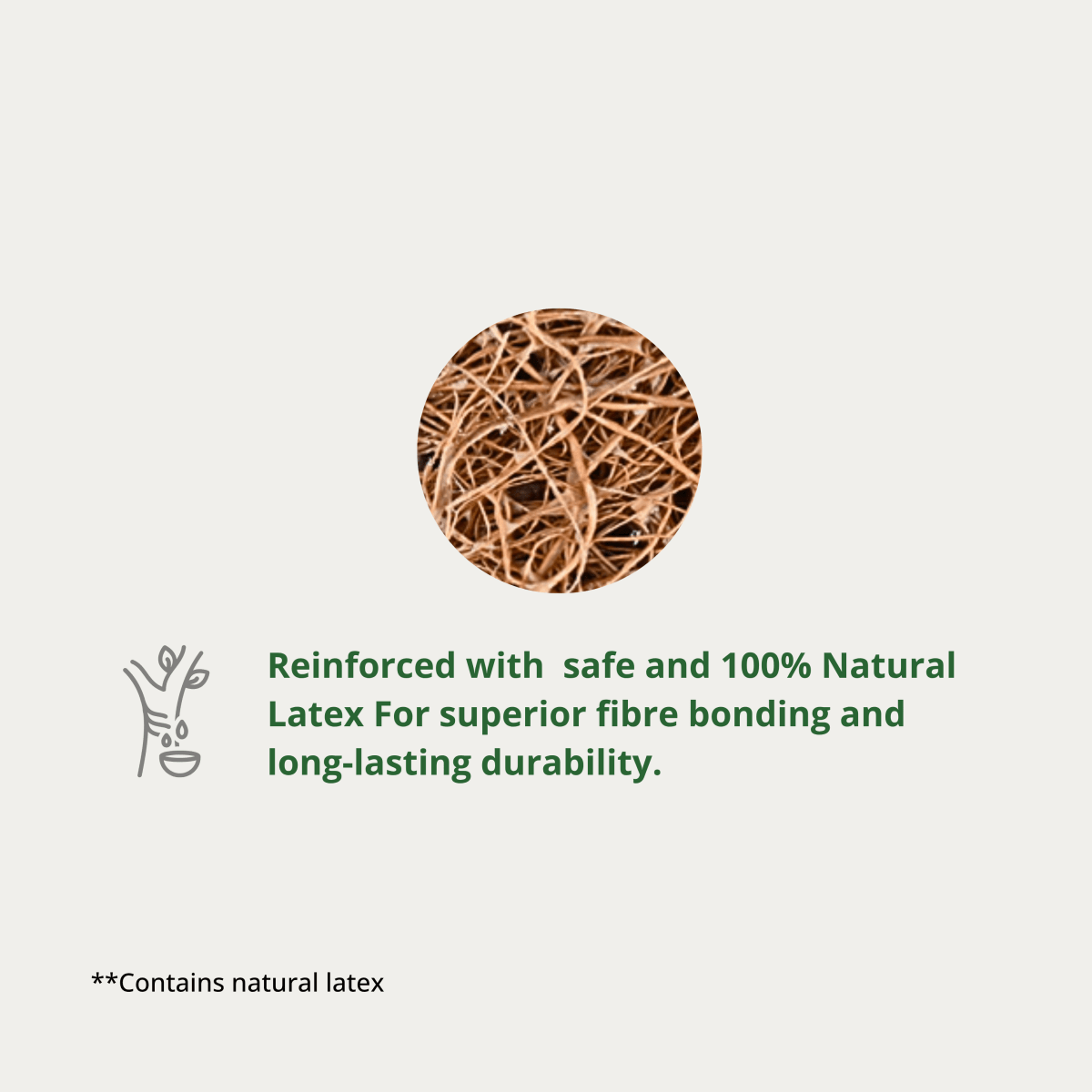 Coconut Coir Cleaning Scrub Pad | Natural, Biodegradable & Effective – Cleaning Products by OIKO available on Brown Living™. . SKU: CO/SC/P5. Img 6.