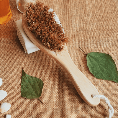 Coconut Fiber Dry Body Brush – Natural Exfoliation Tool – Bath Accessories on Brown Living™. SKU: AS-DBB-001. Img 2.